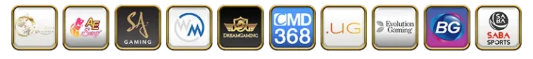 ipbet66